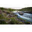 ryanwakemusic.com favicon